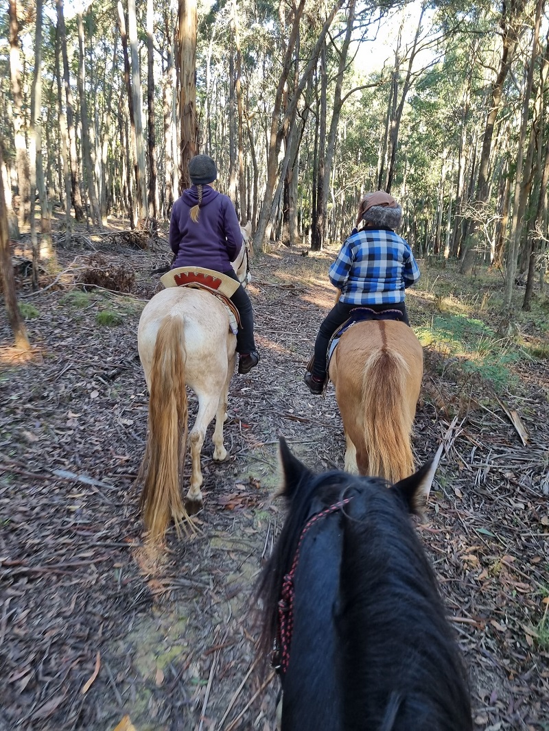 Romeo out on trail