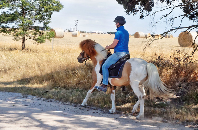 Narrawin Stud